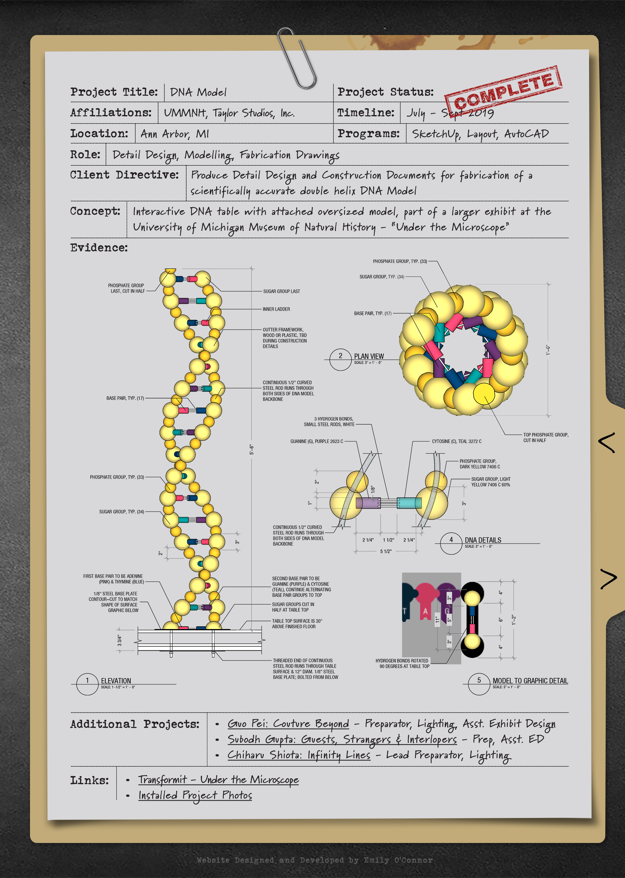 Exhibit Project Background University